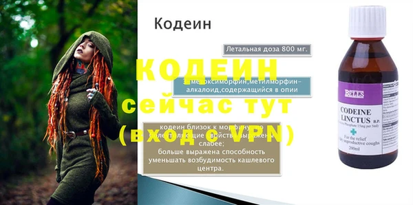 гашик Мегион