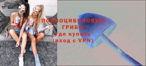 мескалин Медвежьегорск