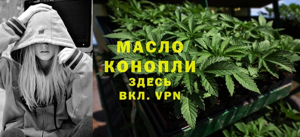 гашик Мегион