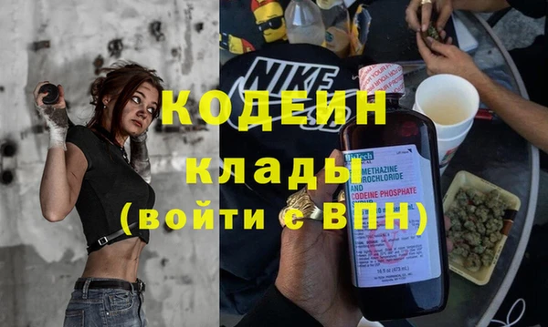 винт Ленск