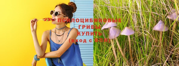 MDMA Premium VHQ Михайловка