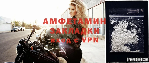 гашик Мегион