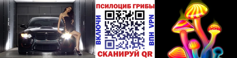 Псилоцибиновые грибы GOLDEN TEACHER Мончегорск